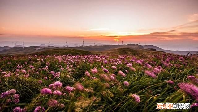 贵州阿西里大草原旅游攻略 贵州阿西里西大草原几月去最美