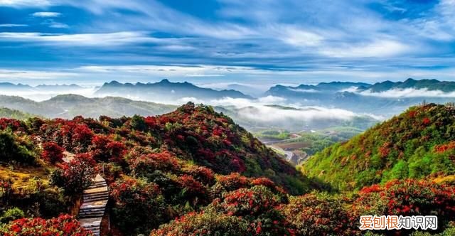 贵州阿西里大草原旅游攻略 贵州阿西里西大草原几月去最美