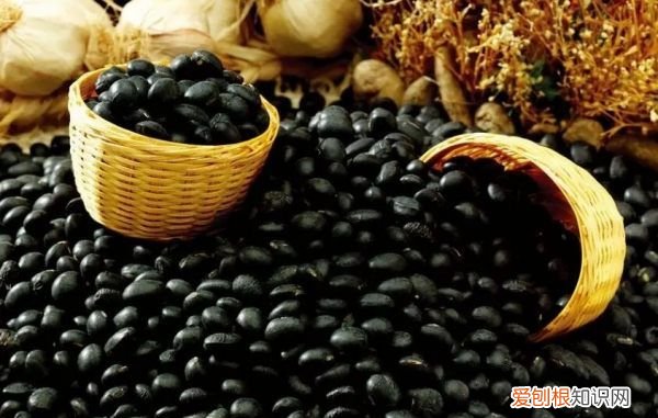 哪些蔬菜可以祛除体内湿气,去湿气的蔬菜和水果有哪些