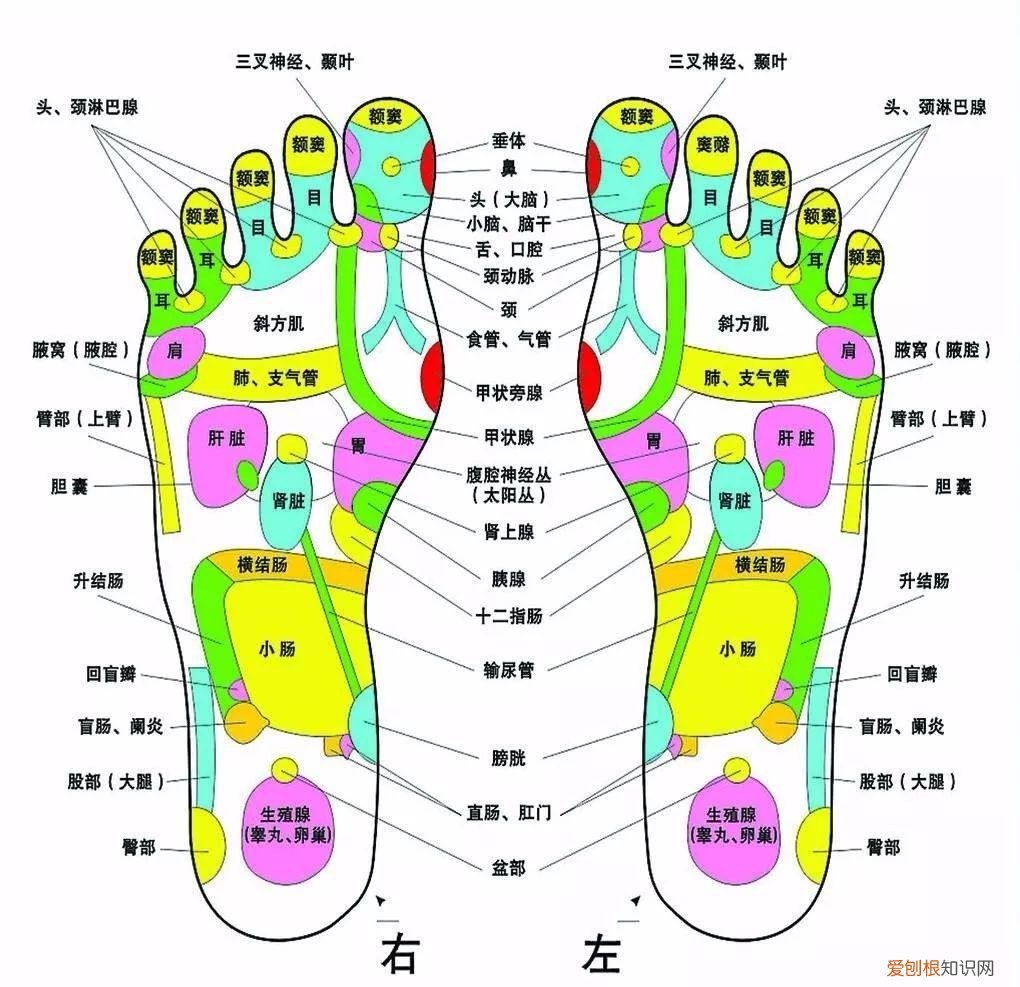 足疗手法教学图片