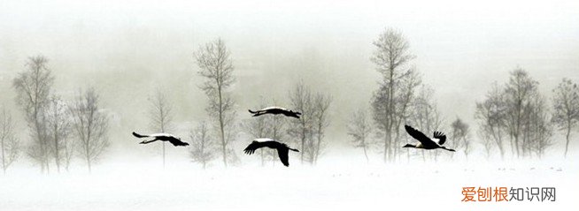 汉赋特点及主要代表作品赏析