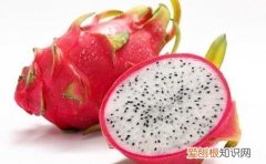 火龙果的营养成分