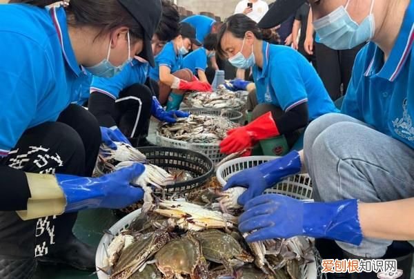 终于吃到梭子蟹了味道也太鲜美了