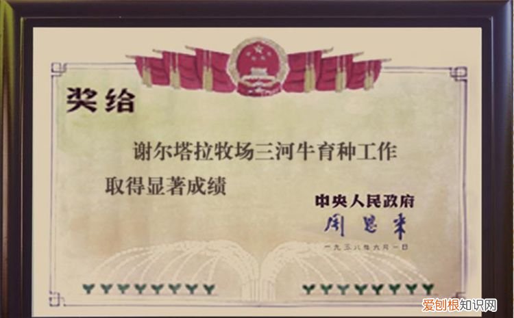 三河马三河牛的产地是,三河牛三河马名字的来源