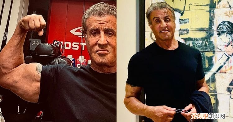 史泰龙肌肉怎么练的