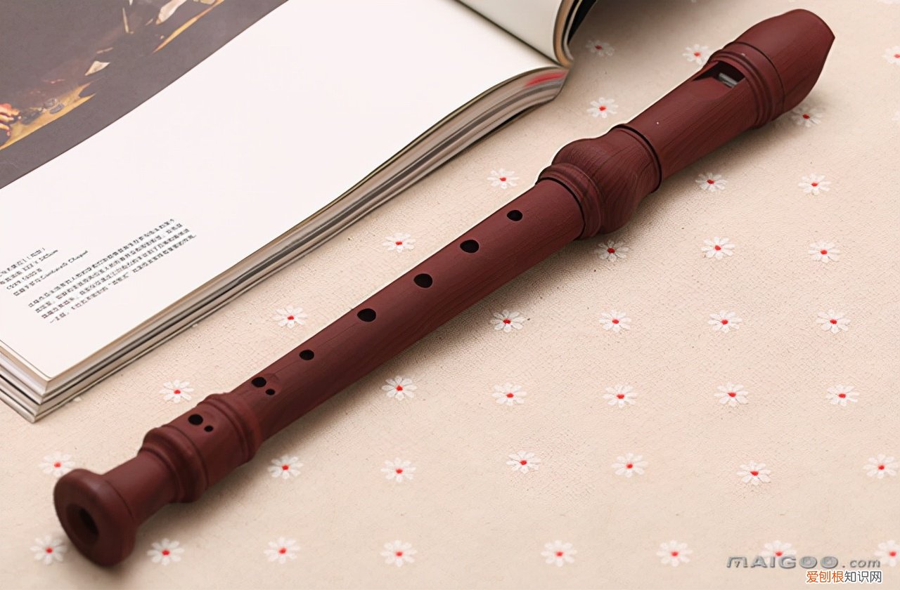 木管乐器都有哪些