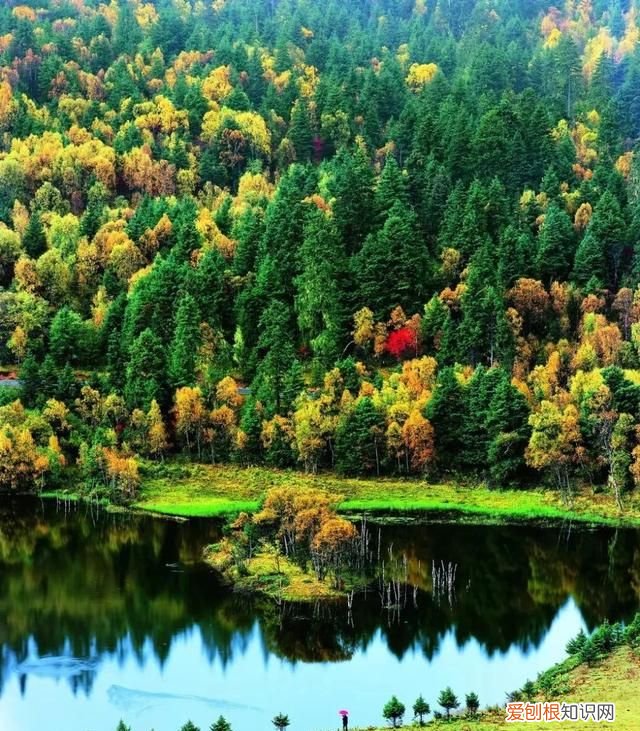 云南旅游普达措国家公园