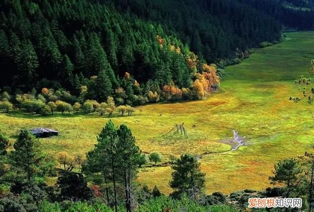 云南旅游普达措国家公园