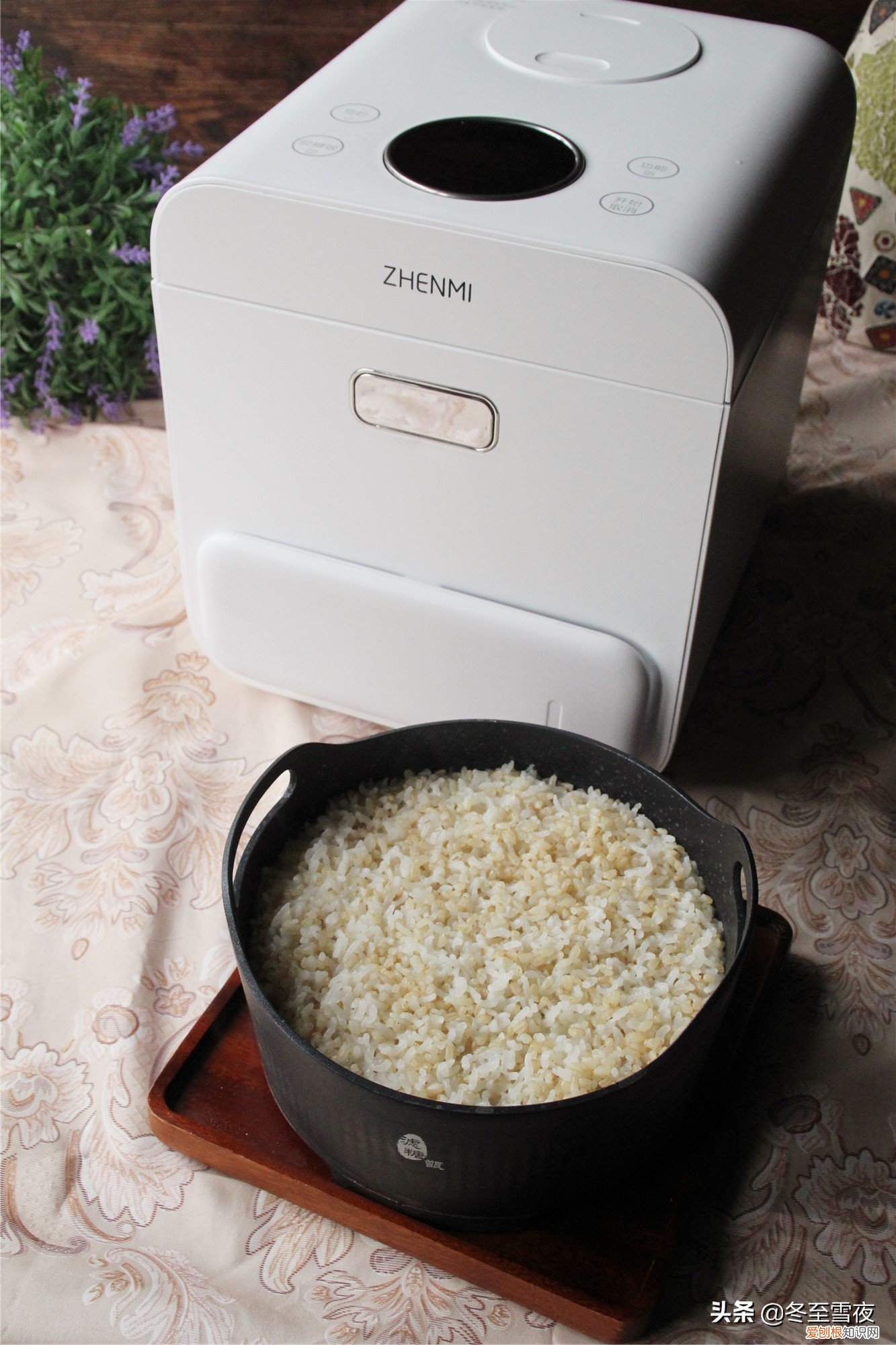 糙米怎么做最好吃营养