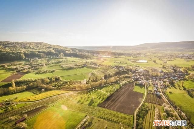 关于母爱的小短诗有哪些