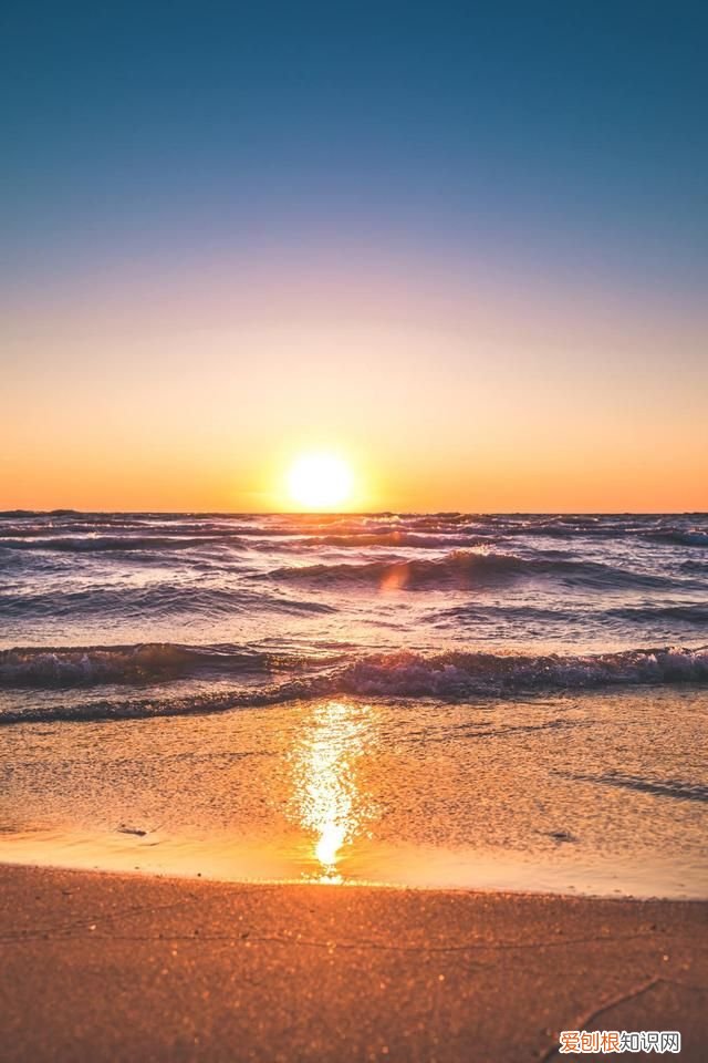 关于母爱的小短诗有哪些