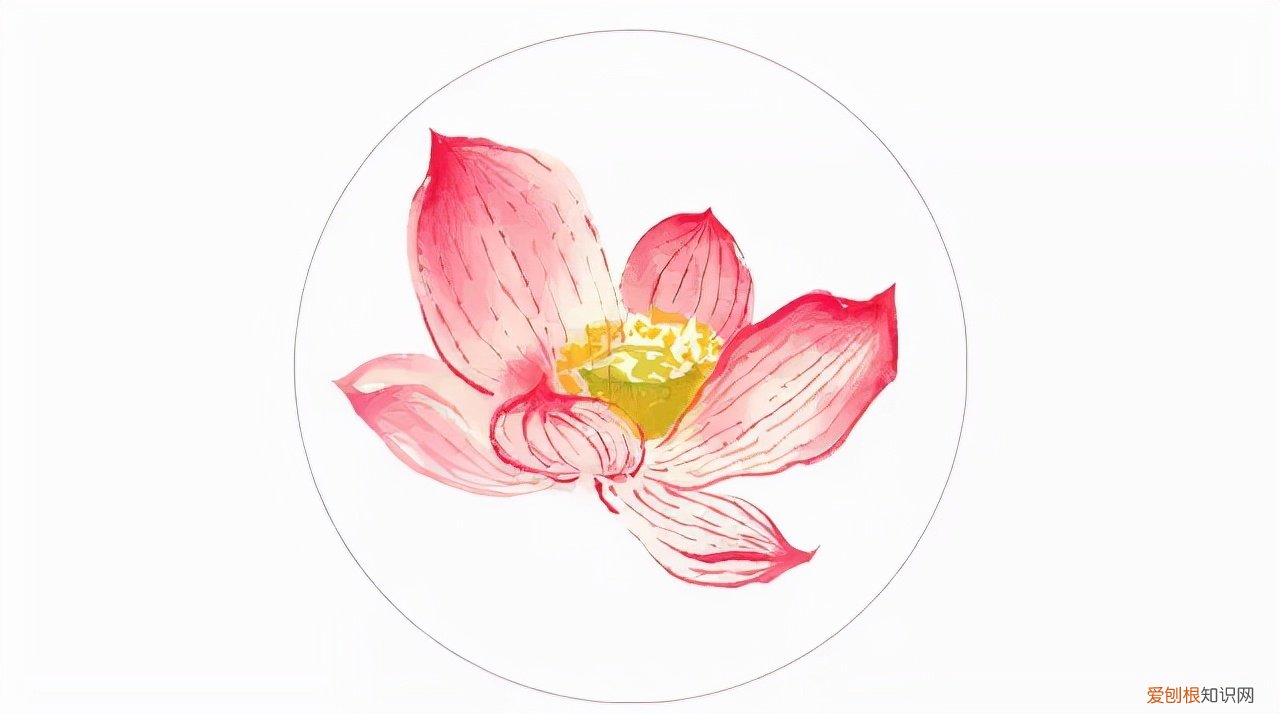 舍利是什么东西