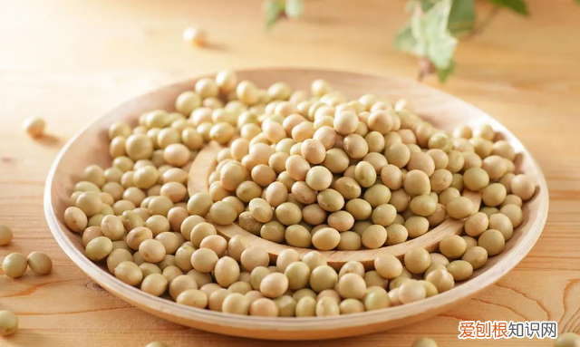 卵磷脂增强记忆力,饮食中卵磷脂可修复大脑损伤