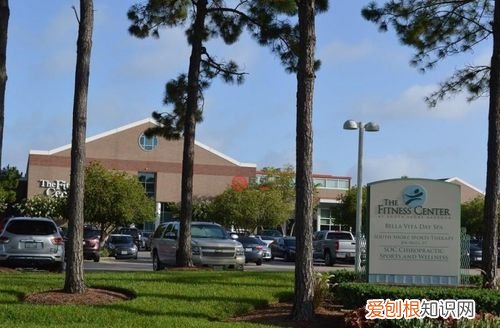 texas是美国哪个州,dallas是美国哪个城市