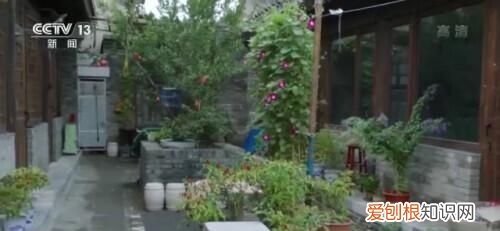 南锣鼓巷的居民生活