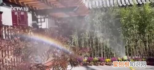 南锣鼓巷的居民生活