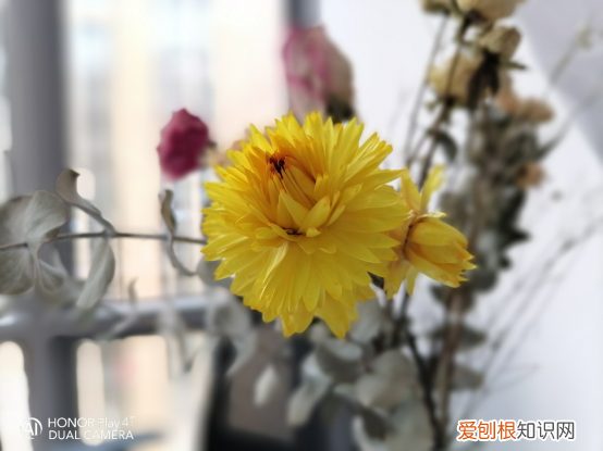 荣耀play4t pro参数对比