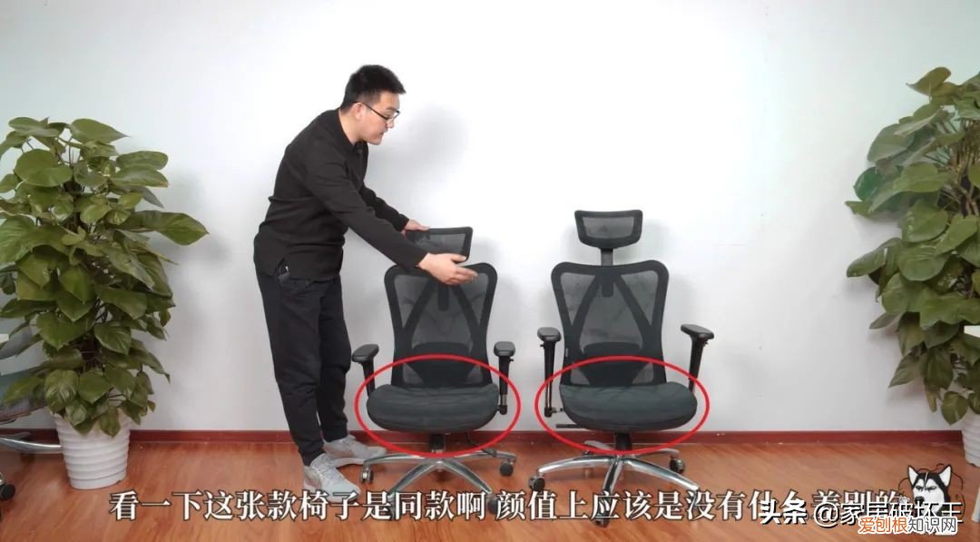 西昊人体工学椅怎么样