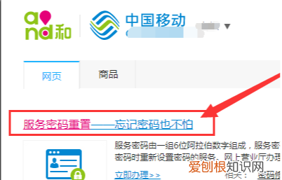 服务密码忘记了怎么重置 服务密码忘了怎么重置