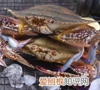 梭子蟹怎样挑选肥的，北戴河梭子蟹什么时候最肥