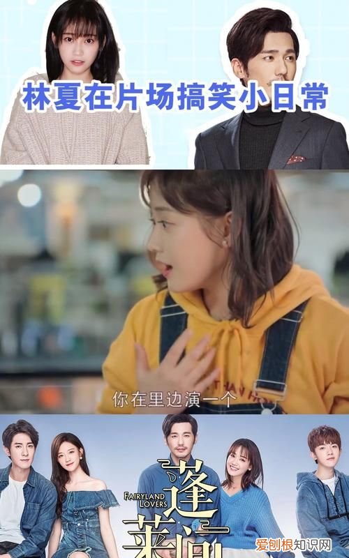 蓬莱间林夏是不是小舟,蓬莱间小舟是不是林夏