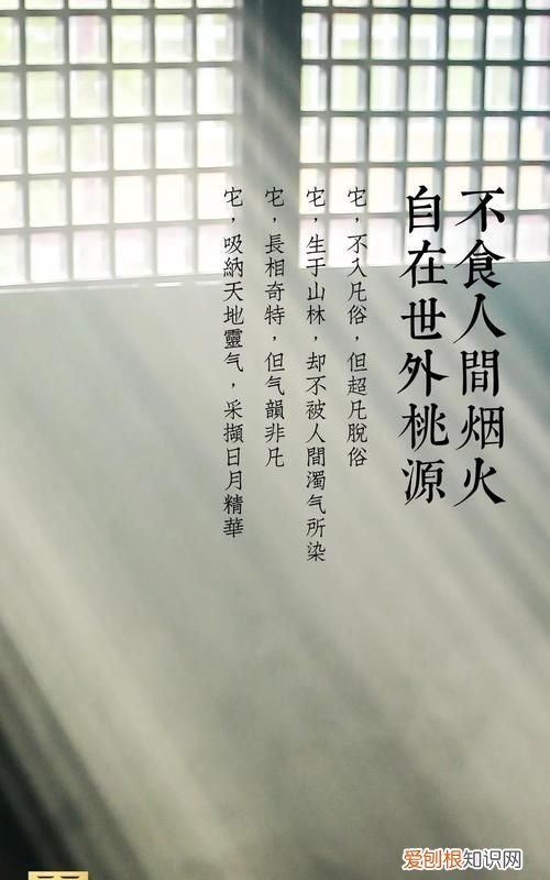 不食人间烟火是什么意思,不食人间烟火气下一句是什么意思