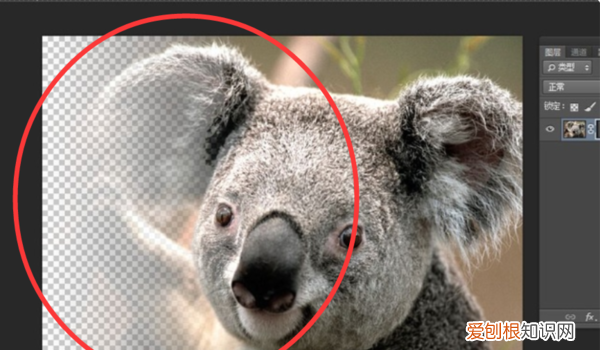 PS咋的才能羽化边缘，ps中如何做蒙版羽化