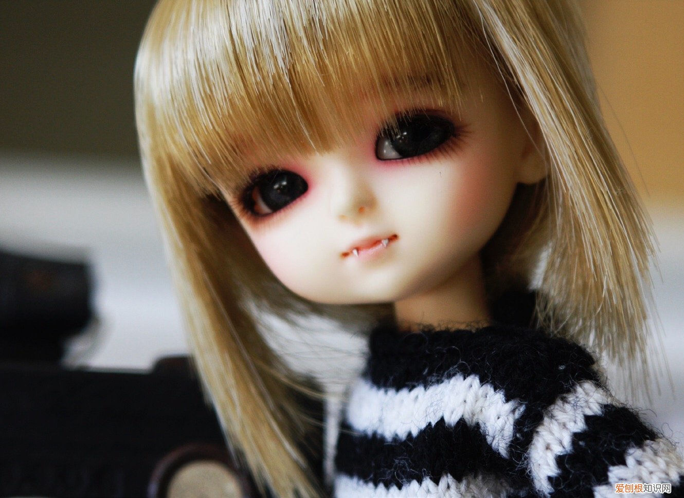 单反镜头参数的基本知识