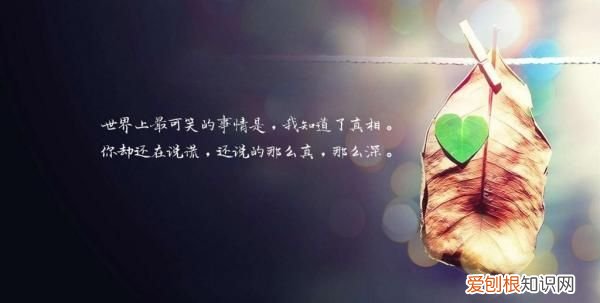 感情说说很现实的句子