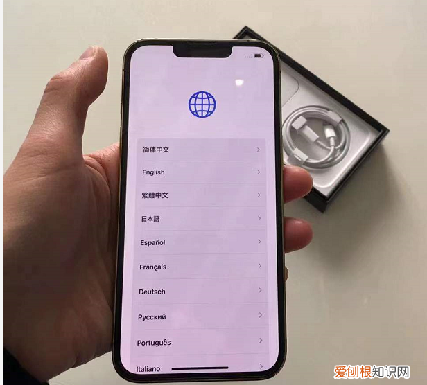 苹果激活查询步骤