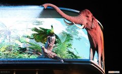 如何推广自己的品牌