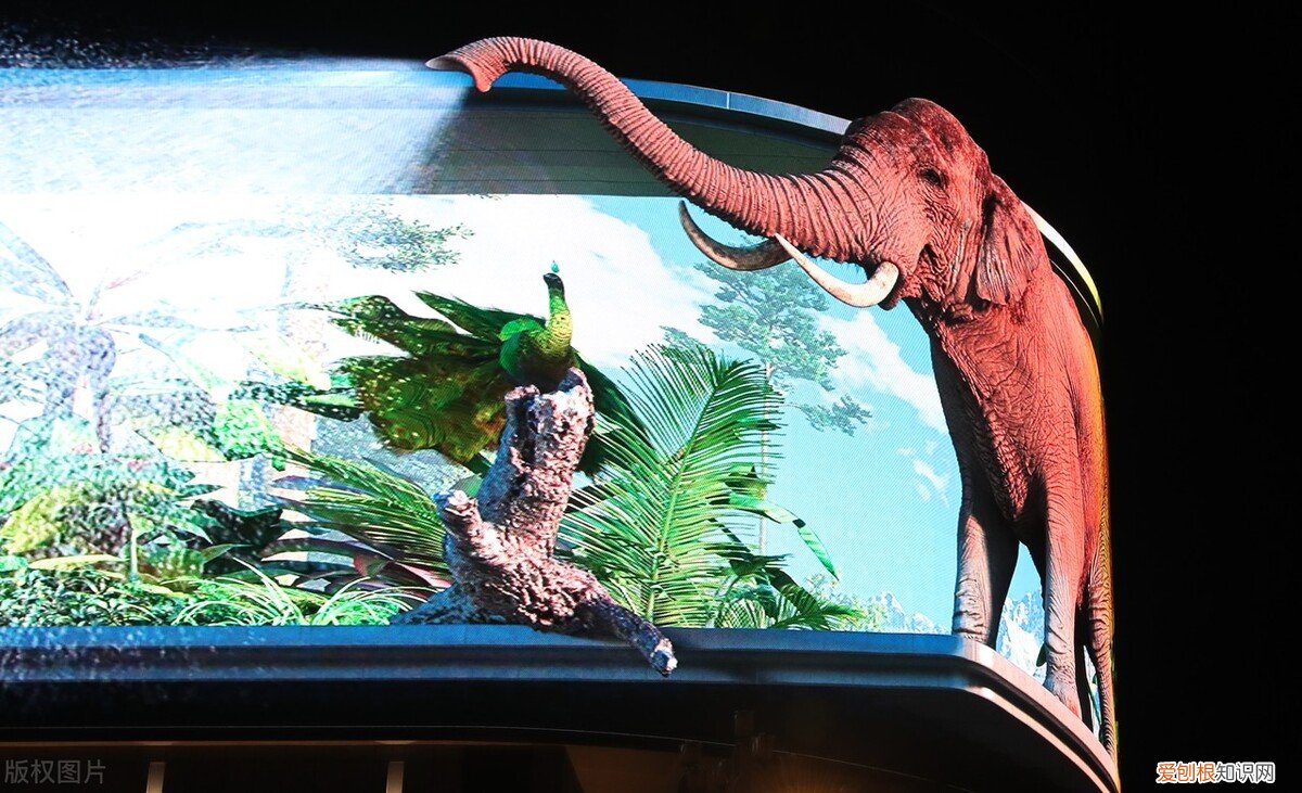 如何推广自己的品牌