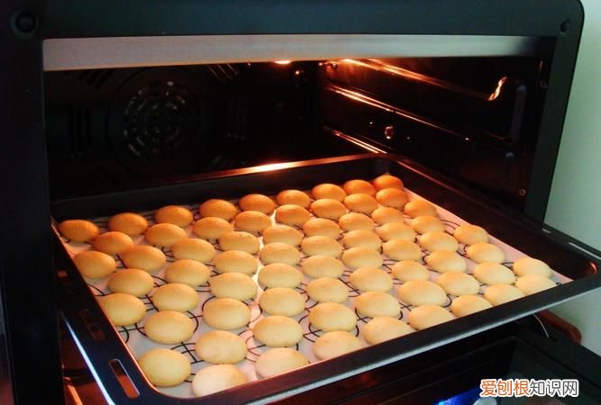 烤饼干多少度几分钟,仓鼠饼干烤多少温度