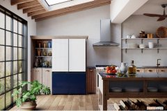 三星bespoke冰箱怎么样