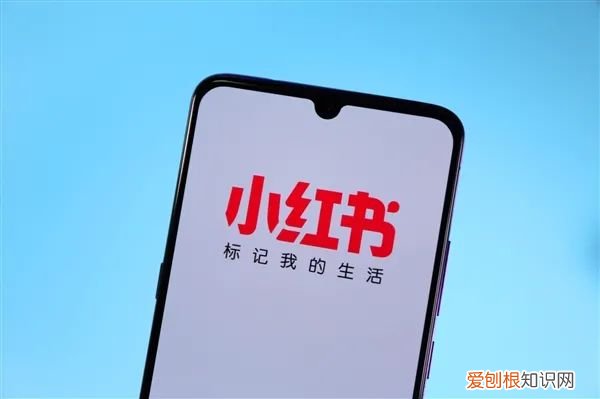 小红书申请“老红书”商标获批，网友神评论！