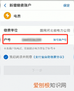 支付宝怎么查电费账单明细