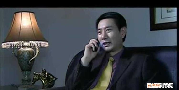 罪域北京老领导原型,罪域兆辉煌扮演者原型