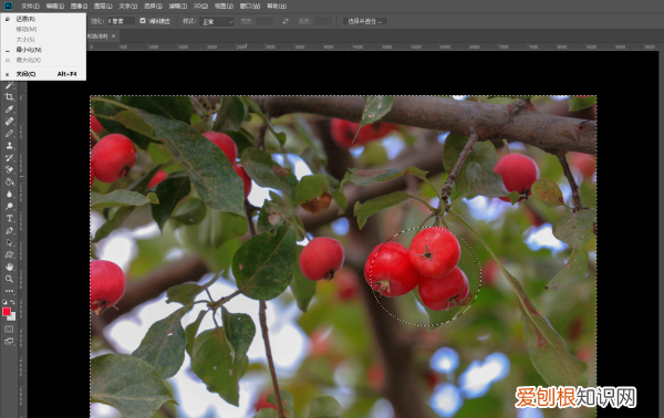 ps能怎样反选,ps中为什么反选了整个背景