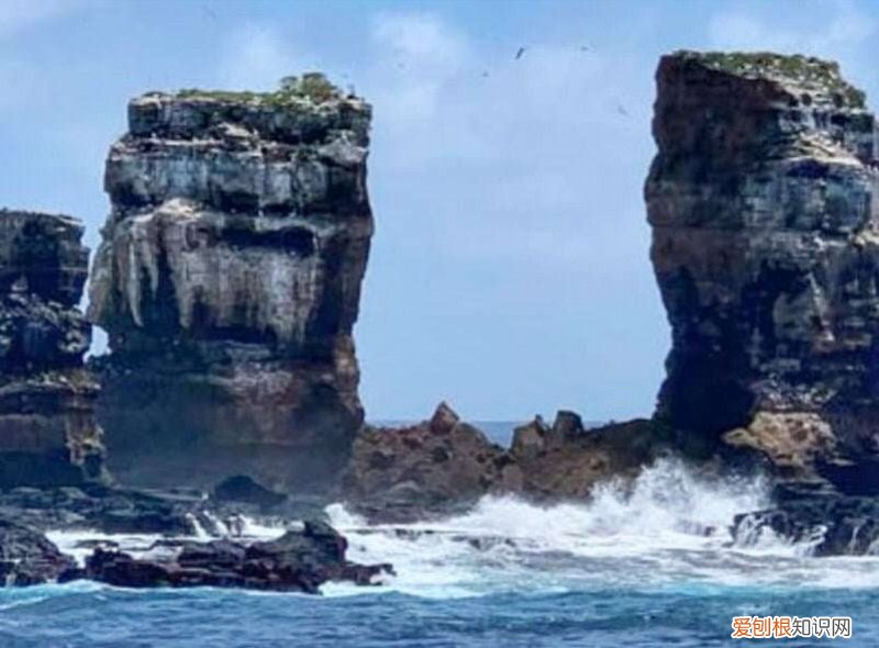 揭秘达尔文拱门塌了的原因