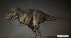 霸王龙的外形特点，用很多的写作手法介绍霸王龙的外形特点