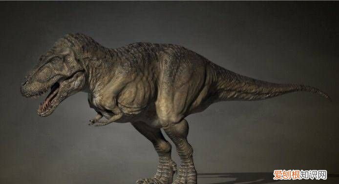 霸王龙的外形特点,用很多的写作手法介绍霸王龙的外形特点