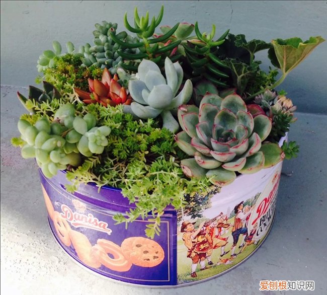 月饼盒废物利用 手工制作