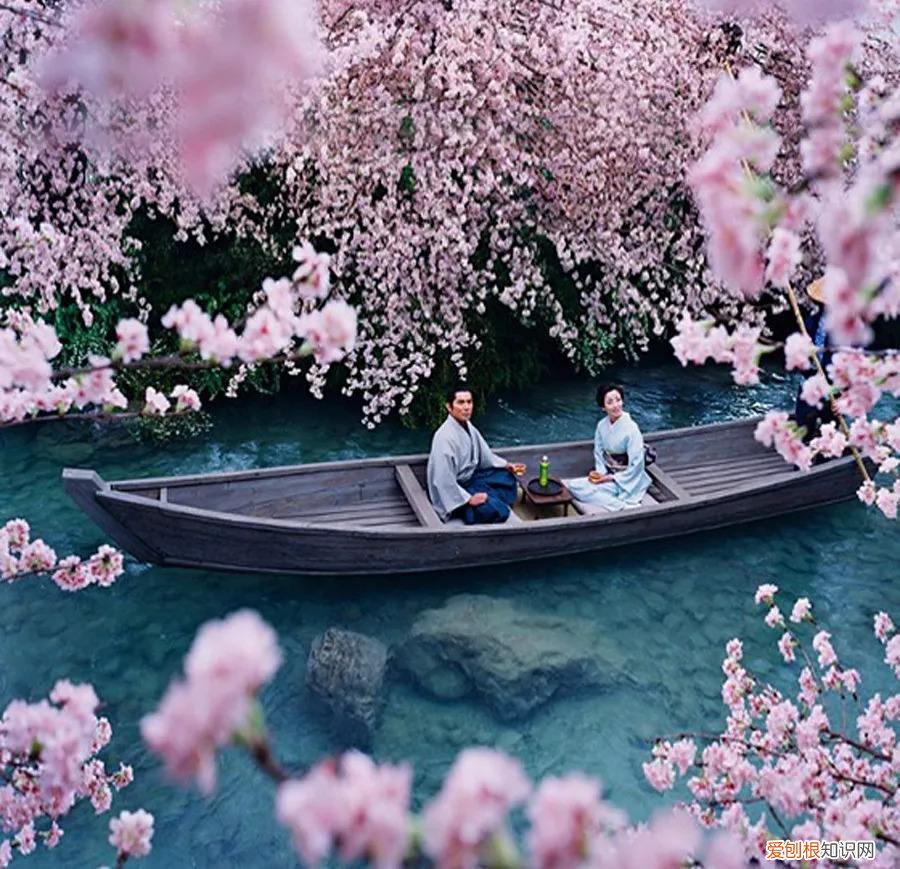 日本买什么便宜又好