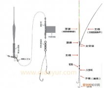 鱼线的绑法图解教学