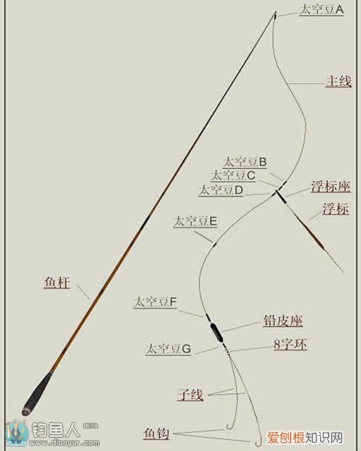 鱼线的绑法图解教学