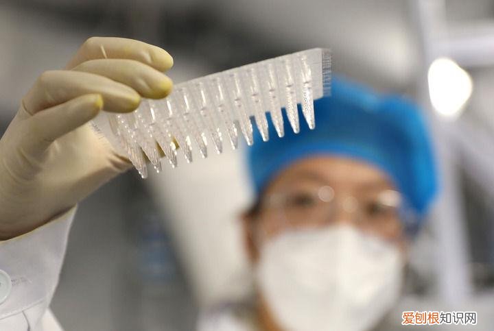 大连昨日发现1例阳性系感染奥密克戎