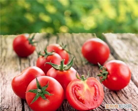 女生吃圣女果有什么好处,吃圣女果对身体有什么好处