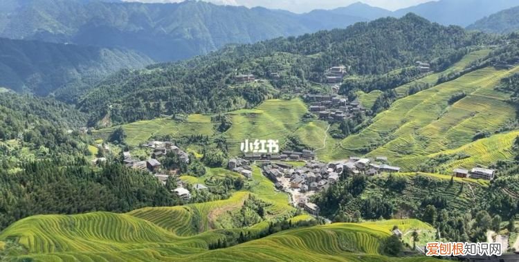 龙脊梯田在广西哪个县,龙胜梯田和龙脊梯田哪个好