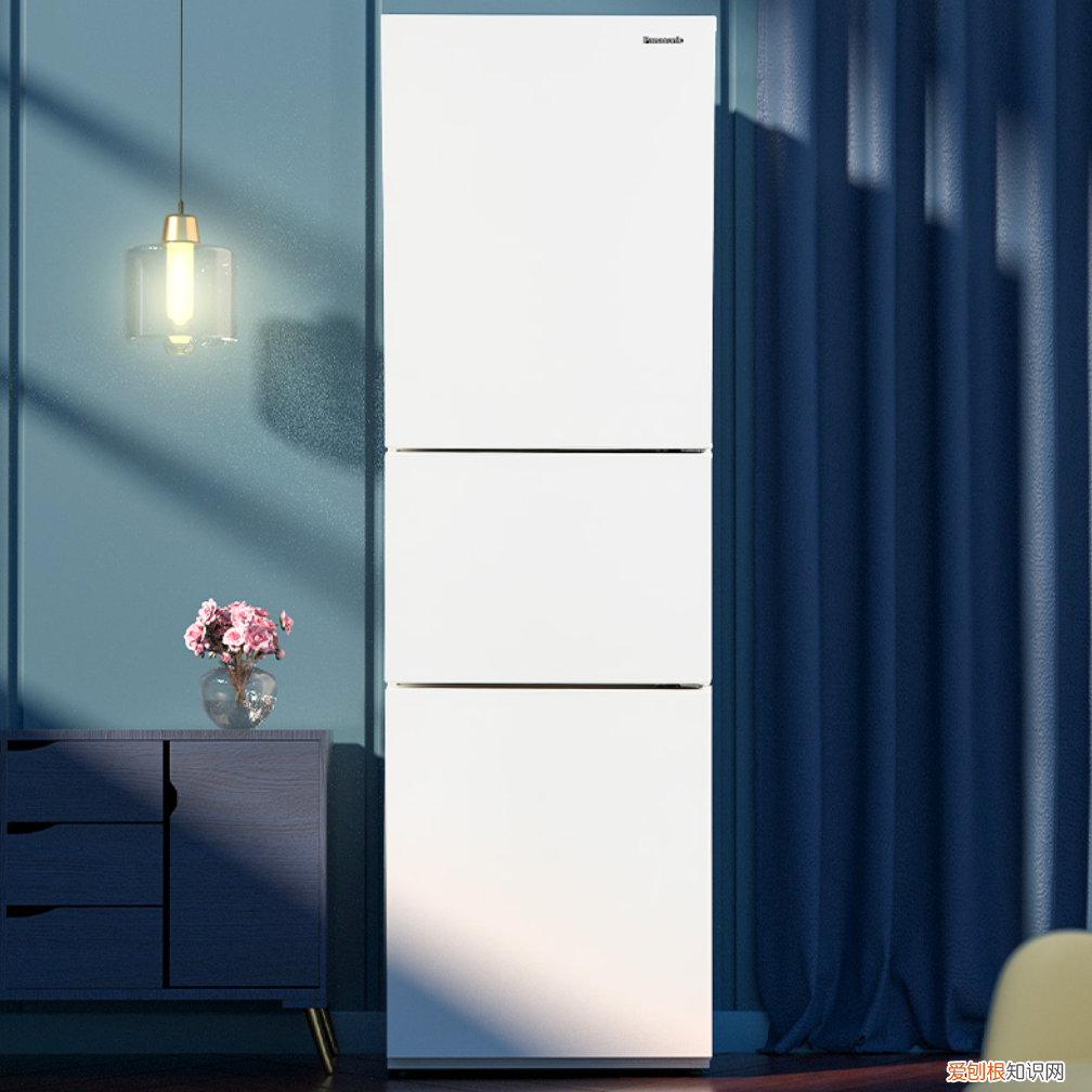 电冰箱什么牌子好