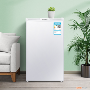 电冰箱什么牌子好